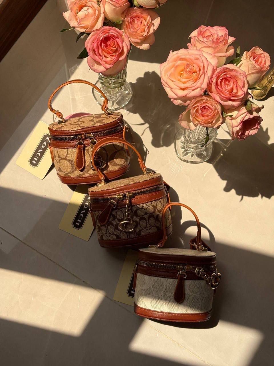 مینی کوچ بیبی